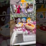 【ゲーセン】取れないと噂のモーリーファンタジーで1000円チャレンジしてみました。(クレーンゲーム)