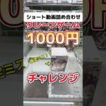 【総集編】クレーンゲーム1000円チャレンジ総集編!!3ヶ月間で獲りまくった景品まとめ