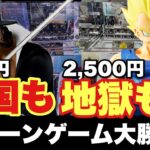 【クレーンゲーム】1体2,500円！？クレゲの闇・100円天国テンションMAX！！カードキャプターさくらも登場！
