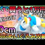公式で買うと1万円しそうな70cmの超BIGぬいぐるみ攻略法！！欲にまみれお安くクレゲでGET出来んじゃねぇ？と思いつく