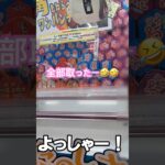 1play50円 全部取った‼️   #shorts  #クレーンゲーム #クレーンゲーム攻略 #おすすめ #ゲームセンター #clawmachine #arcadegames #ufoキャッチャー