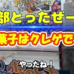 【4K】1play50円 リベンジ！5個全部⁉ #クレーンゲーム #クレーンゲーム攻略 #おすすめ #ゲームセンター #clawmachine #arcadegames #ufoキャッチャー
