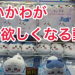 【ちいかわ】もっちるねそべりBIGぬいぐるみ登場！