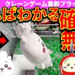 【クレーンゲーム】最新ちいかわ景品 誕生日BIGぬいぐるみ　ちいかわ・ハチワレ・うさぎに挑戦！　ここを狙えば確率無視できっと取れる！？　【UFOキャッチャー／プライズ】