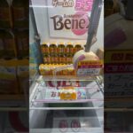 【クレーンゲーム】へベネクスの橋渡しで色んな景品GET！①   【UFOキャッチャー】#shorts #切り抜き #白シロ