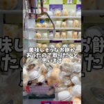 美味しそうなお餅とってみる♡︎UFOキャッチャー#クレーンゲーム#ゲームセンター#景品#キーホルダー