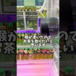 クレーンゲームでお茶とってく。#ゲームセンター#クレーンゲーム#UFOキャッチャー#景品