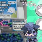 セガUFOキャッチャーオンライン（たこ焼き台の攻略）