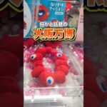 何かと話題の大阪万博☺ミャクミャクってどう思う？😁かわいいからUFOキャッチャーで取って見た👍#クレーンゲーム #ufoキャッチャー #クレーンゲーム攻略