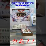 なんでもあるぞ！セガUFO！【セガUFOキャッチャーオンライン】