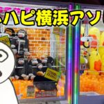 【乱獲】横浜のゲーセンで景品取るぞ #clawmachine #japaneseclawmachine #ufoキャッチャー #クレーンゲーム #日本夾娃娃