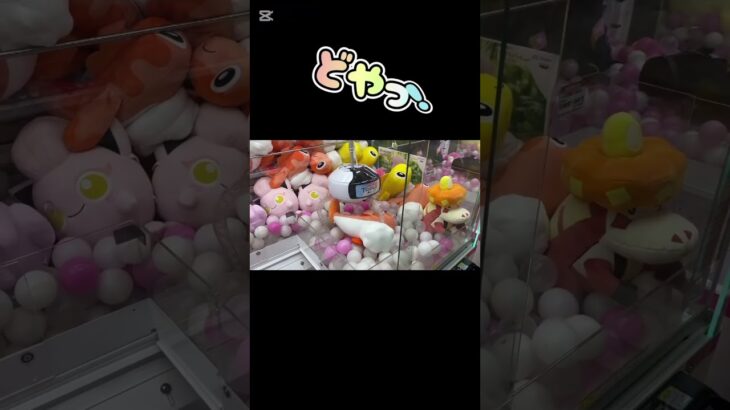 【最新】シャリタツ攻略法🍣確率に頼らない！　#ポケモン#シャリタツ#pokemon#ぬいぐるみ#ゲームセンター#クレーンゲーム #ufoキャッチャー