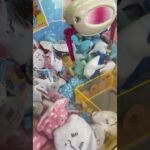 水族館クレーンゲームやってみた #shorts #クレーンゲーム #クレーンゲーム攻略 #ゲームセンター #clawmachine #clawmachinejapan #日本夾娃娃 #新江ノ島水族館
