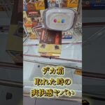 【クレーンゲーム】大きい景品ってだけで嬉しい#shorts #クレーンゲーム #クレゲ #ufoキャッチャー #プライズ獲得 #ゲームセンター