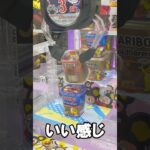 クレーンゲーム🤣 #shorts #クレーンゲーム #ufoキャッチャー攻略 #クレーンゲーム攻略 #claw machine japan #日本夾娃娃 #おたちゅう #clawmachine