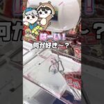 クレーンゲーム攻略中で最高の瞬間#shorts #youtubeshorts #クレーンゲーム #ufoキャッチャー #clawmachine