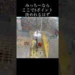 バスケといえばスラムダンクを思い出す  セガufo キャッチャーオンライン バスケ