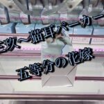 【美少女祭り】#ufoキャッチャー #クレーンゲーム #アニメ #ゲームセンター#倉庫系