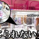 【クレーンゲーム】奇跡⁉︎デカすぎて苦戦したあの人気景品を取ろうとしたら衝撃な展開に…【ufoキャッチャー】