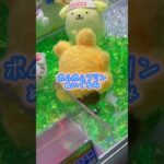 ポムポムプリン救出大作戦 #クレーンゲーム #ufoキャッチャー #ぬいぐるみ #サンリオ #ポムポムプリン #攻略 #ゲーセン #ゲームセンター #sanrio #アー厶 #shorts