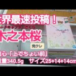 クレーンゲーム　ベネクス川越　カードキャプターさくら　木之本桜　完全クレゲ宣言！　チャンネル登録募集中！　初日朝イチ！　本日登場！　プライズ　フィギュア　情報　攻略　重心　重量　サイズ　買取　秋葉原