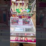 【ゲーセン】モーリーファンタジーにしなこちゃんのマシュマロがあったので取ってみました。(クレーンゲーム)