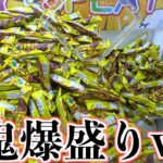 圧倒的鬼の爆盛り状態で景品取りまくってみたww【クレーンゲーム／UFOキャッチャー】