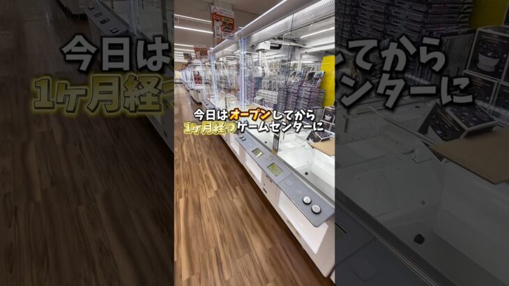 【ゲーセン】オープン1ヶ月後のゲーセンは取れるのか検証してみました。(クレーンゲーム)