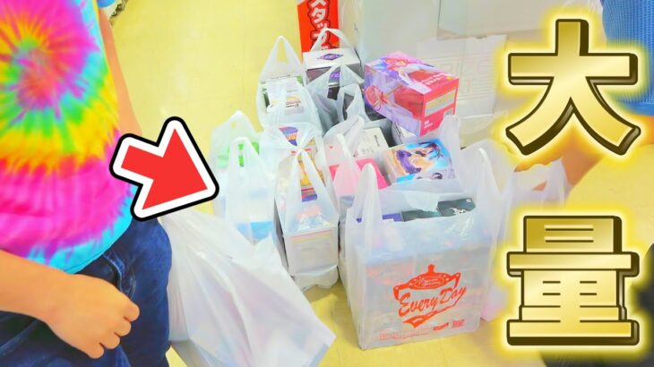 【攻略】宇宙一取れるクレーンゲームセンター1万円企画！エブリデイとってき屋東京本店