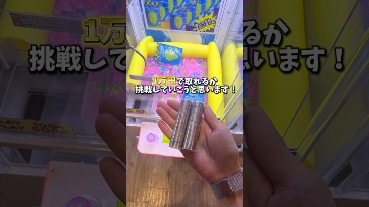【ゲーセン】シャインマスカットボンボンが置いてあったので1万円で取れるのか挑戦してみました。(クレーンゲーム)