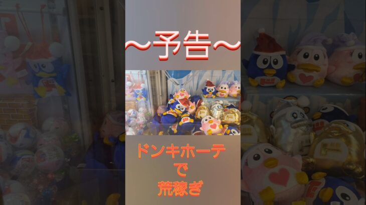 ～予告～ドンキホーテ で 荒稼ぎ !#ドンキホーテ#ドンペンちゃん#ペア#ぬいぐるみ#フィギア#ゲームセンター#トレバ#1回勝負 #クレーンゲーム#UFOキャッチャー#プライズゲーム