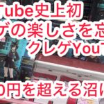 【ベネクス平塚】1万円弱のお米に比べたらお得だった！！！#クレーンゲーム #クレゲ #ゲームセンター #ゲーセン #ufoキャッチャー #橋渡し