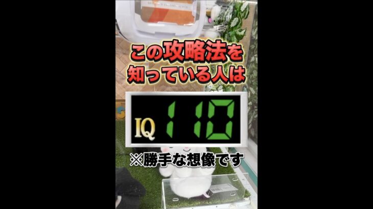 【クレーンゲーム】〇〇で1発獲得‼︎ #おすすめ #ufoキャッチャー #クレーンゲーム #ゲームセンター #cranegame #ufocatcher #攻略
