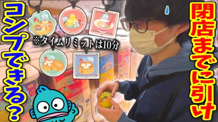 閉店まで10分…ハンギョドン推しなので意地でもコンプします。【ガチャガチャ、クレーンゲーム】