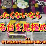 【クレーンゲーム実況】簡単に獲るために捨てられた100円たちの無念を晴らしてみた！！【ラウンドワン】【ぬいぐるみ】