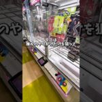 【ゲーセン】誰かのやりかけだけを狙って1000円で景品何個取れるか挑戦してみました。(クレーンゲーム)
