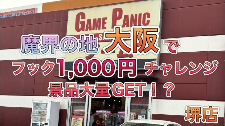 フック1000円チャレンジ‼︎フックは実力で狙える‼︎【ゲームセンター】