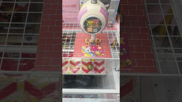 ベネクスで1000円使って何個取れるの？　#クレーンゲーム #ゲームセンター #ufoキャッチャー #攻略