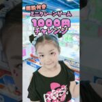 ミニクレーンゲーム攻略解説付き！確率無視の攻略のコツもチラ見せ！1000円で◯個GET!?