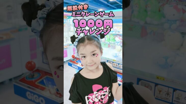ミニクレーンゲーム攻略解説付き！確率無視の攻略のコツもチラ見せ！1000円で◯個GET!?