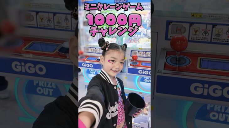 クレーンゲーム攻略！確率無視の攻略のコツもチラ見せ！1000円で◯個GET!?