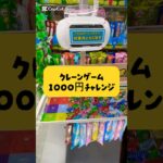 クレーンゲームで1,000円チャレンジ#ゲームセンター#ゲーセン#ufoキャッチャー #クレーンゲーム #クレーンゲーム攻略