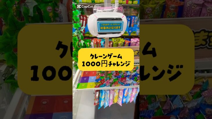 クレーンゲームで1,000円チャレンジ#ゲームセンター#ゲーセン#ufoキャッチャー #クレーンゲーム #クレーンゲーム攻略