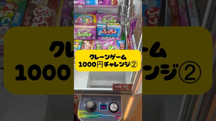 クレーンゲーム1,000円チャレンジ‼️#クレーンゲーム#ufoキャッチャー #ゲーセン#ゲームセンター#クレーンゲーム攻略 #ゲーム