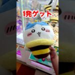 100円だけでちいかわゲットしてやるよ#shorts