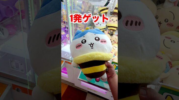 100円だけでちいかわゲットしてやるよ#shorts