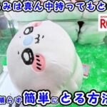 【クレーンゲーム】さすが大人気ちいかわ！確率きても… #1049 #モーリーファンタジー #ナムコ #ラウンドワン #ufoキャッチャー #コツ #ぬいぐるみ #ムーミン #マイメロディ #確率機