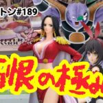 【初日ゴットン#189】まさに痛恨の極み！クレーンゲーム攻略【#トレトレ倉庫春日白水店】