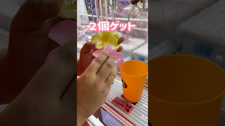 1PLAY ２０円🤣 #shorts #10円キャッチャー #ufoキャッチャー攻略 #クレーンゲーム攻略 #clawmachinejapan #日本夾娃娃 #おたちゅう #ゲームセンター