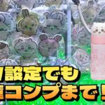 【クレーンゲーム】ちいかわ ラインストーンキーホルダー2、ちいかわ お顔マイボトル1にチャレンジ！！